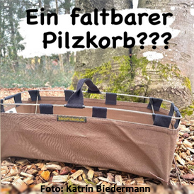 hallimushrom Katrin Biedermann - ihr faltbarer Pilzkorb