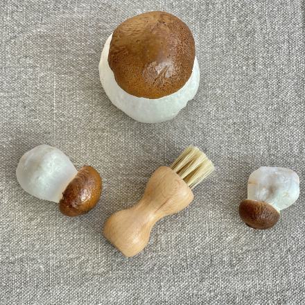 Pilzbürste mit Naturborsten
