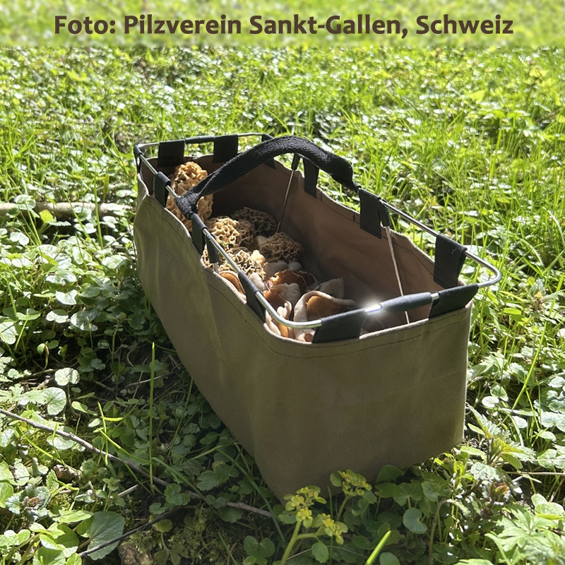 Pilzkorb faltbar mit Morcheln Pilzverein Sankt-Gallen